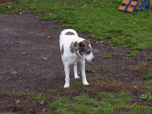 med_Hmmm.jpg (600 x 450)